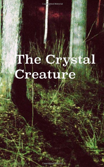 Cover of camp HW2015B The Crystal Creature
