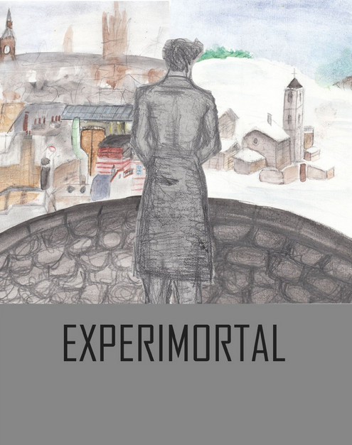 Cover of SC2013 Experimortal