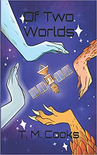 Cover of camp Trust Of two worlds