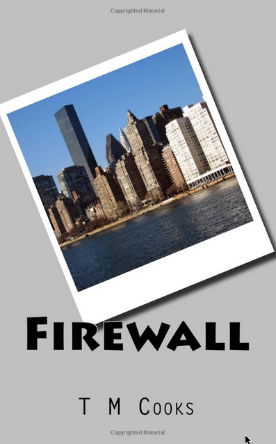 Cover of camp lde-fm Firewall